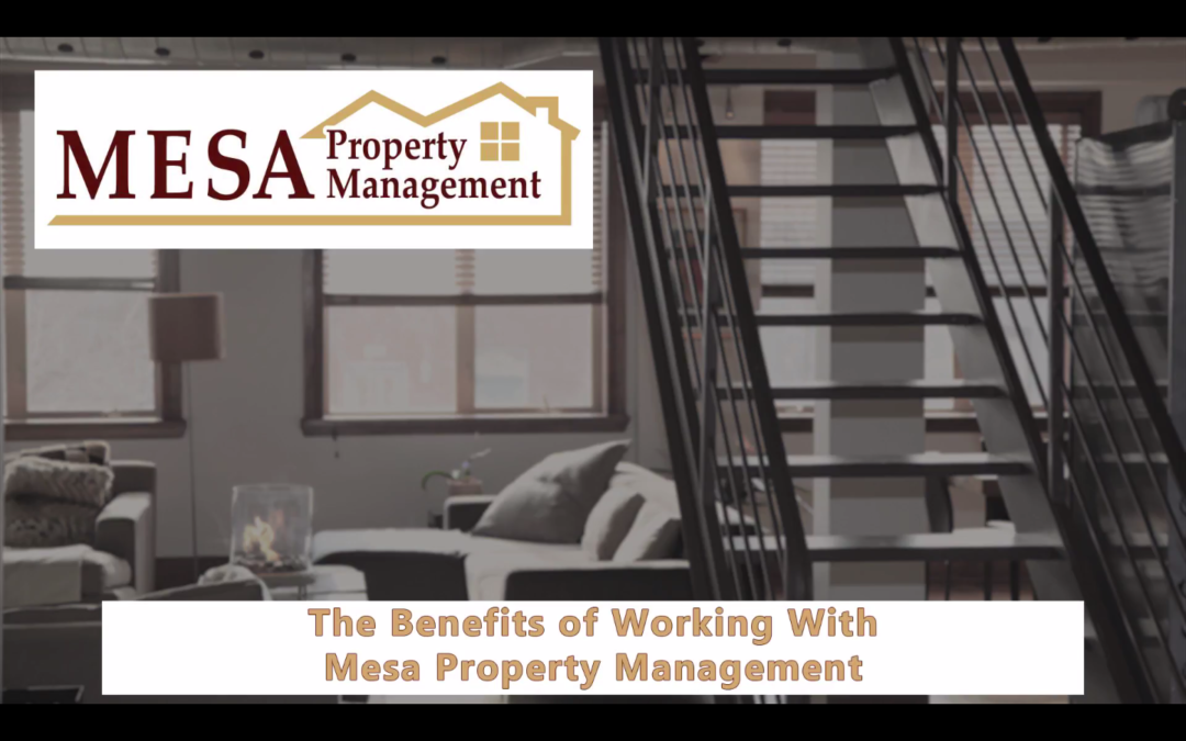 The Benefits of Working with Mesa Property Management