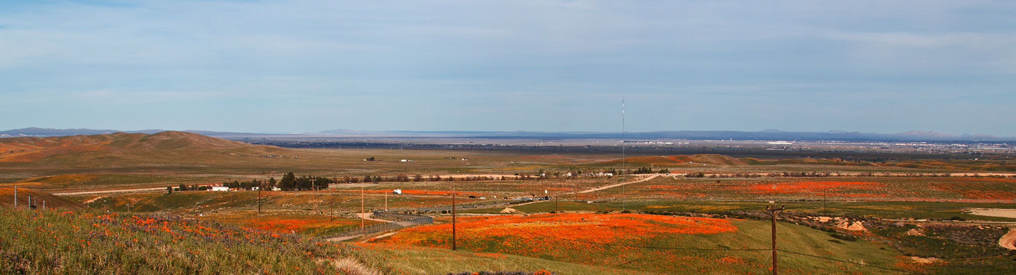 High Desert Banner